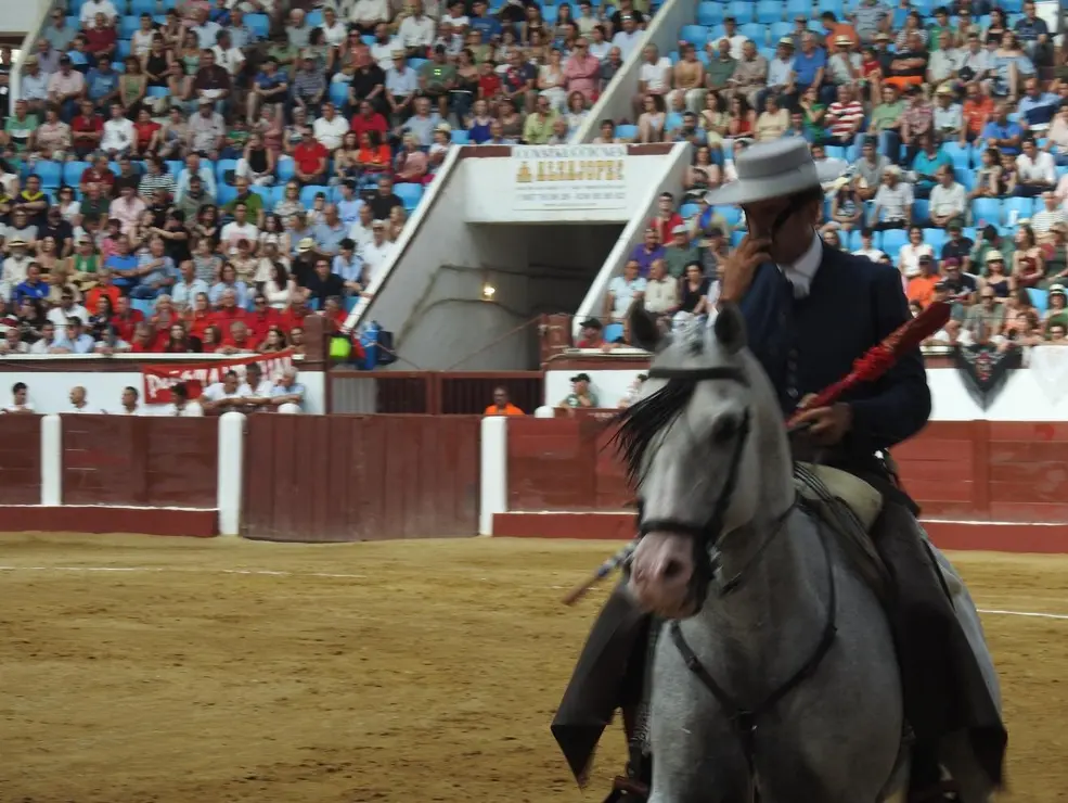 Toros (60)