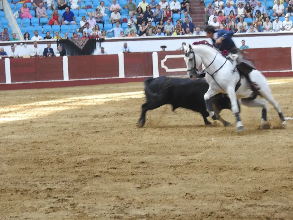 Toros (67)