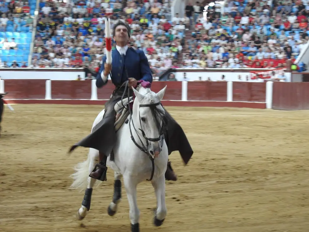 Toros (69)