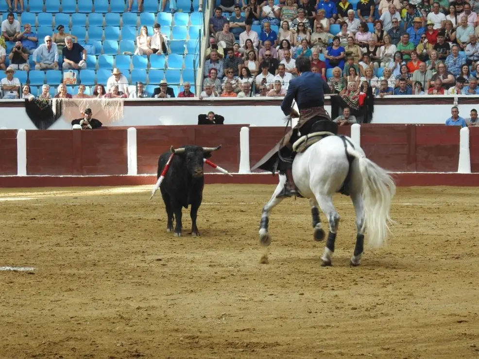 Toros (71)