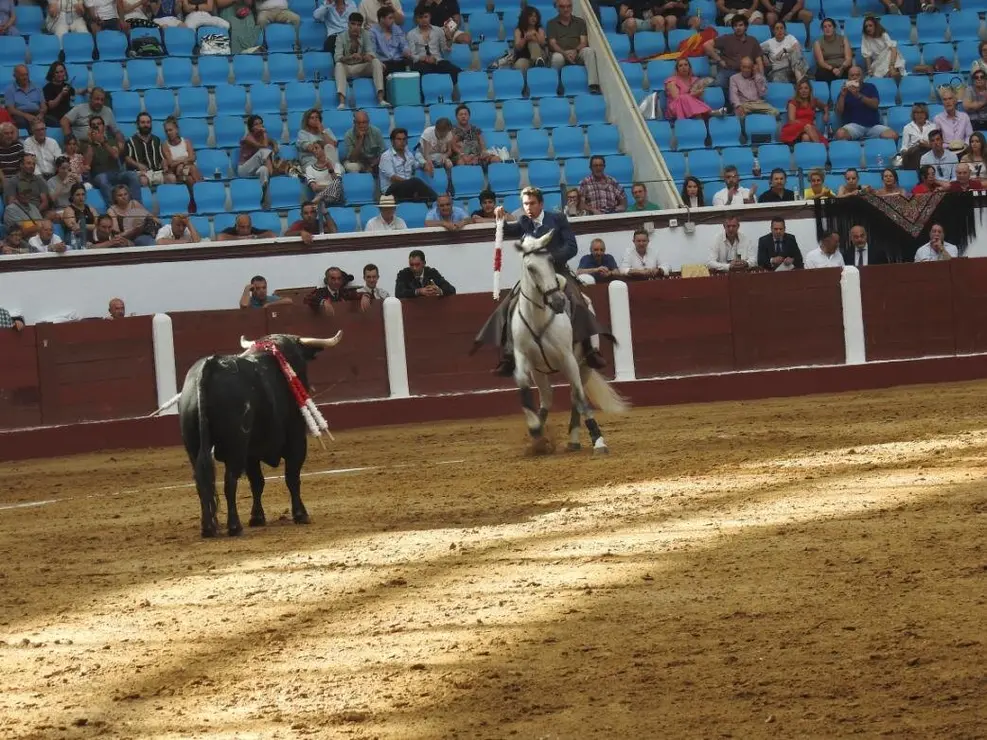 Toros (73)