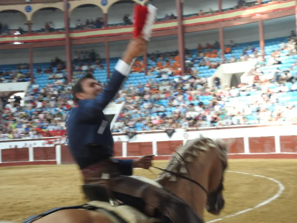 Toros (75)
