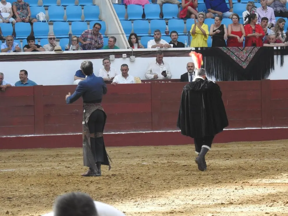 Toros (84)