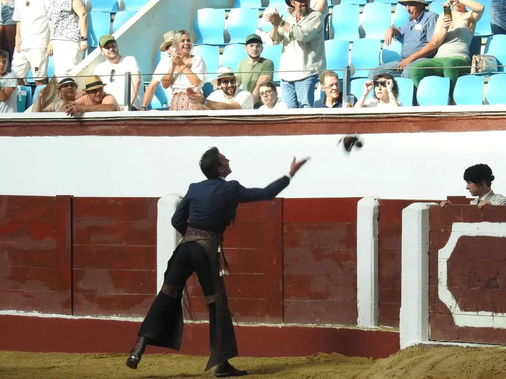 Toros (85)