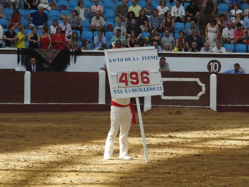 Toros (89)