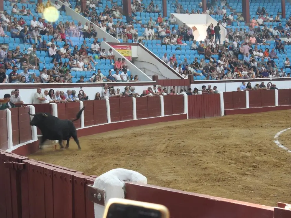 Toros (90)