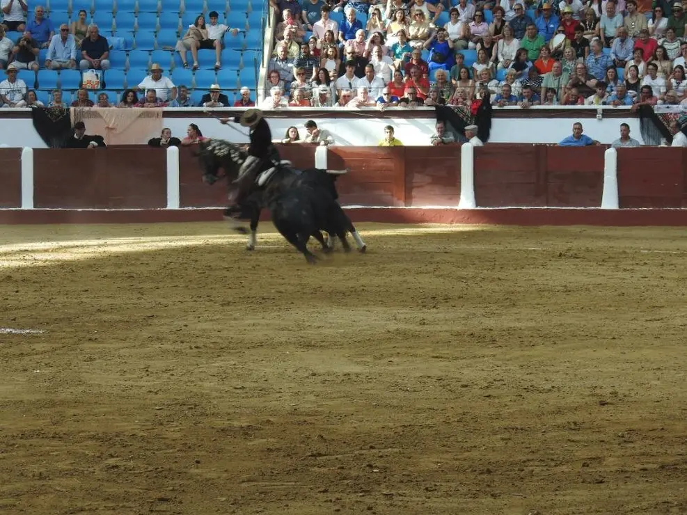 Toros (92)