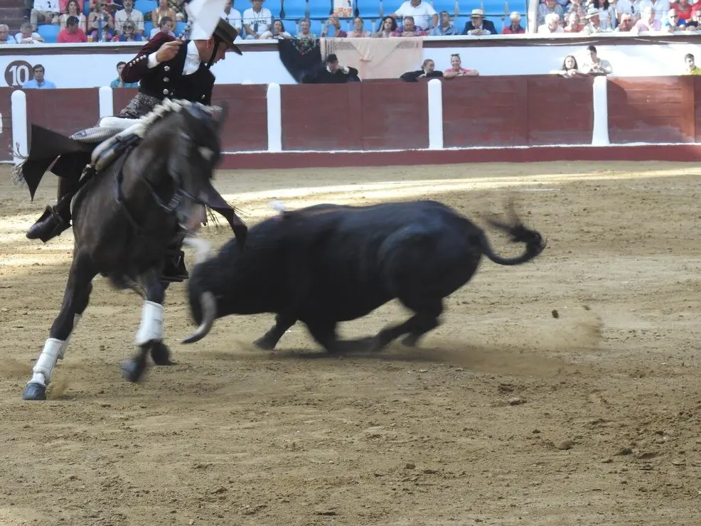 Toros (93)