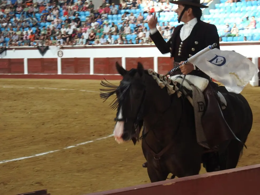 Toros (96)