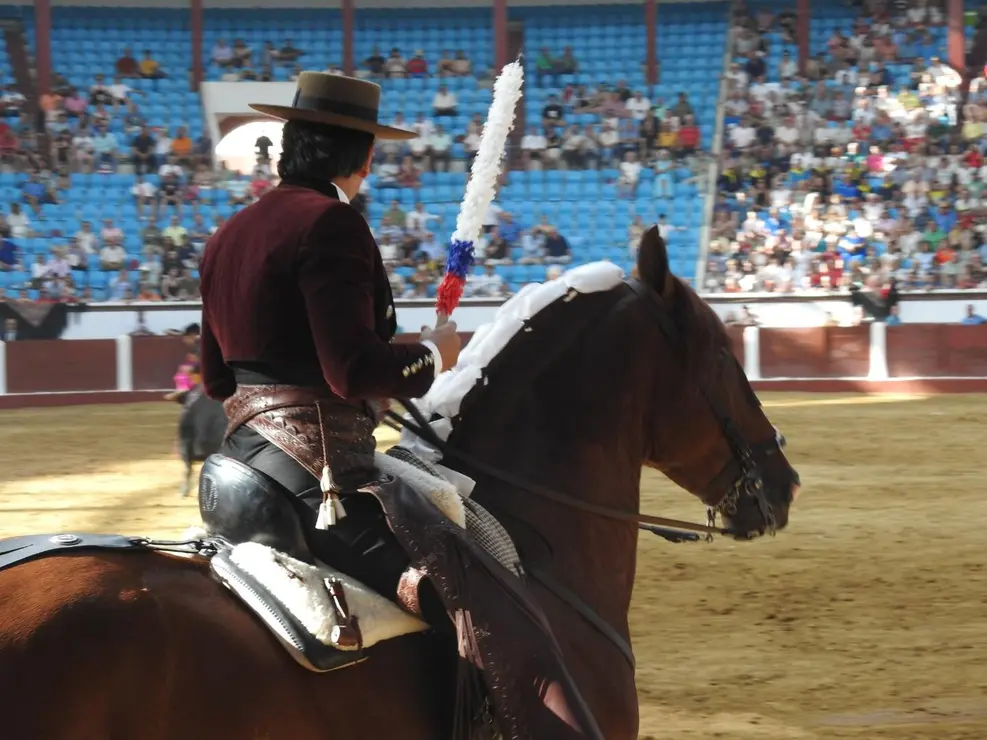 Toros (97)