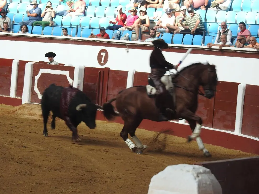 Toros (99)