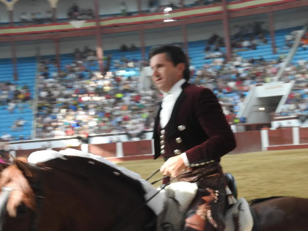 Toros (103)