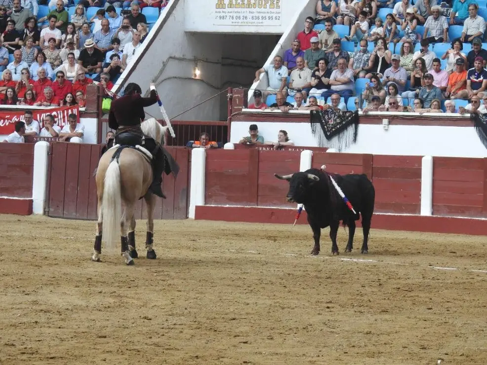 Toros (104)