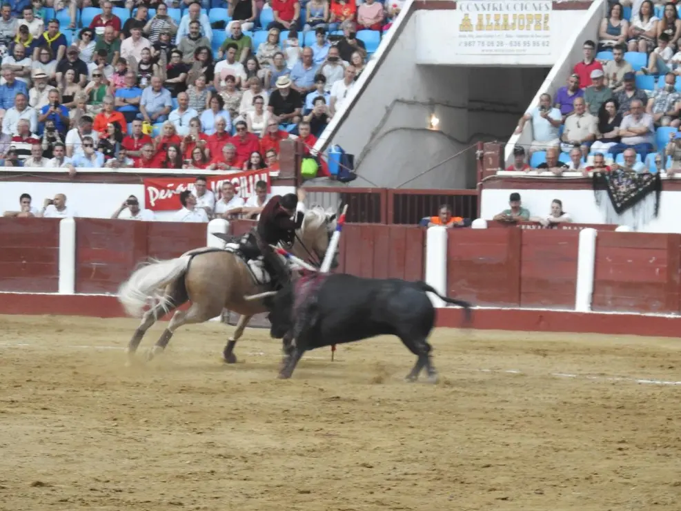 Toros (105)