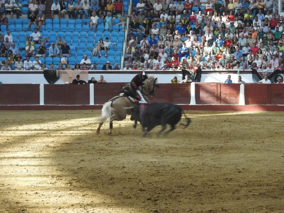 Toros (106)