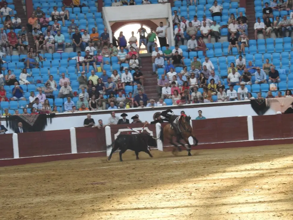 Toros (107)