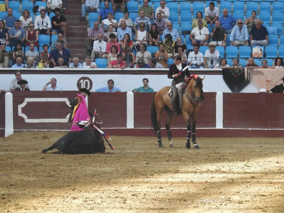 Toros (108)