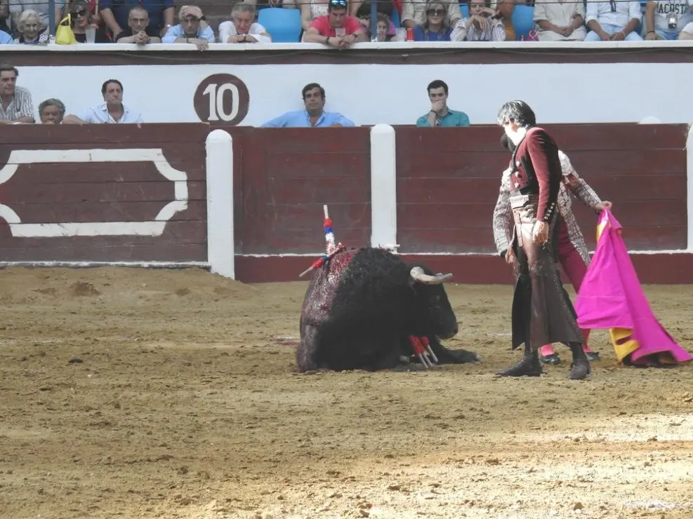 Toros (110)