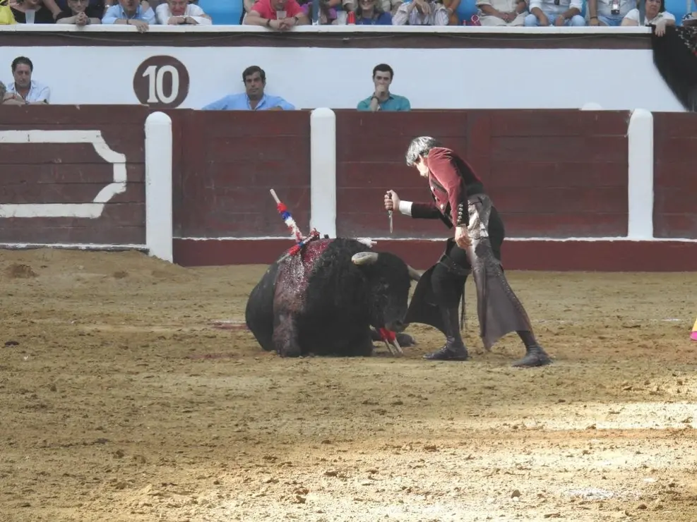 Toros (111)