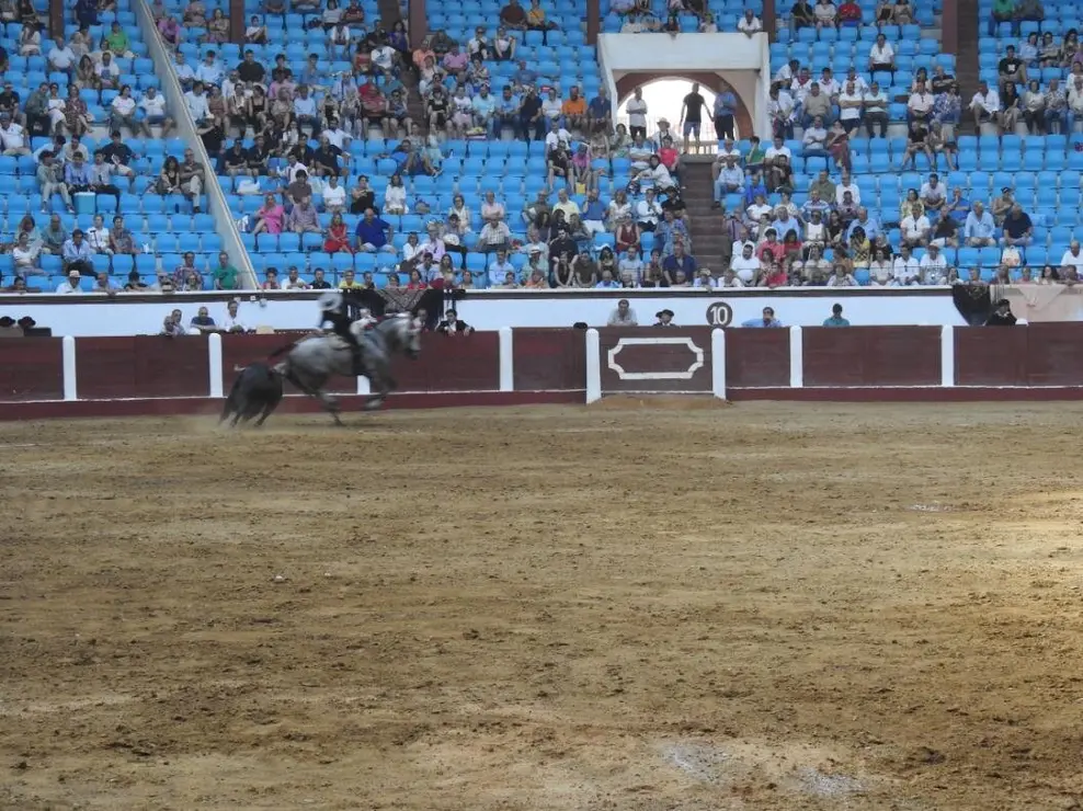 Toros (114)