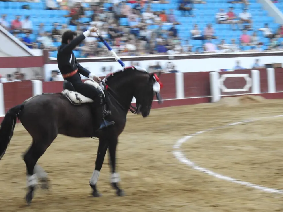 Toros (119)