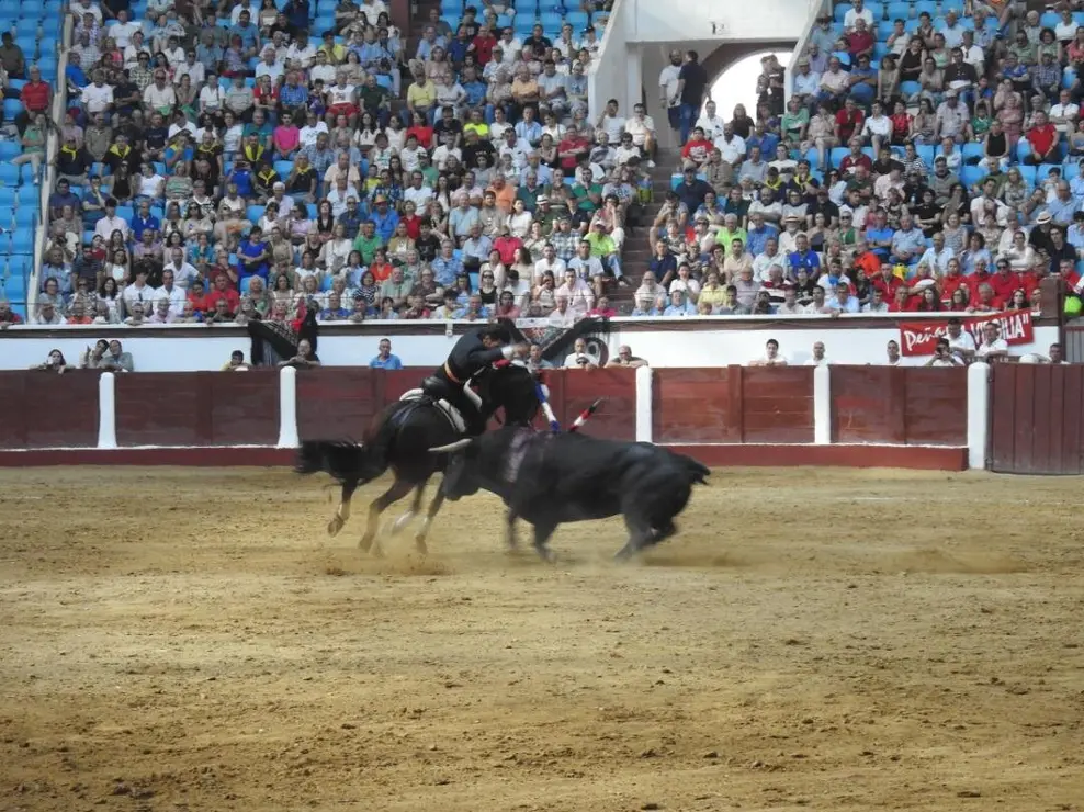 Toros (120)