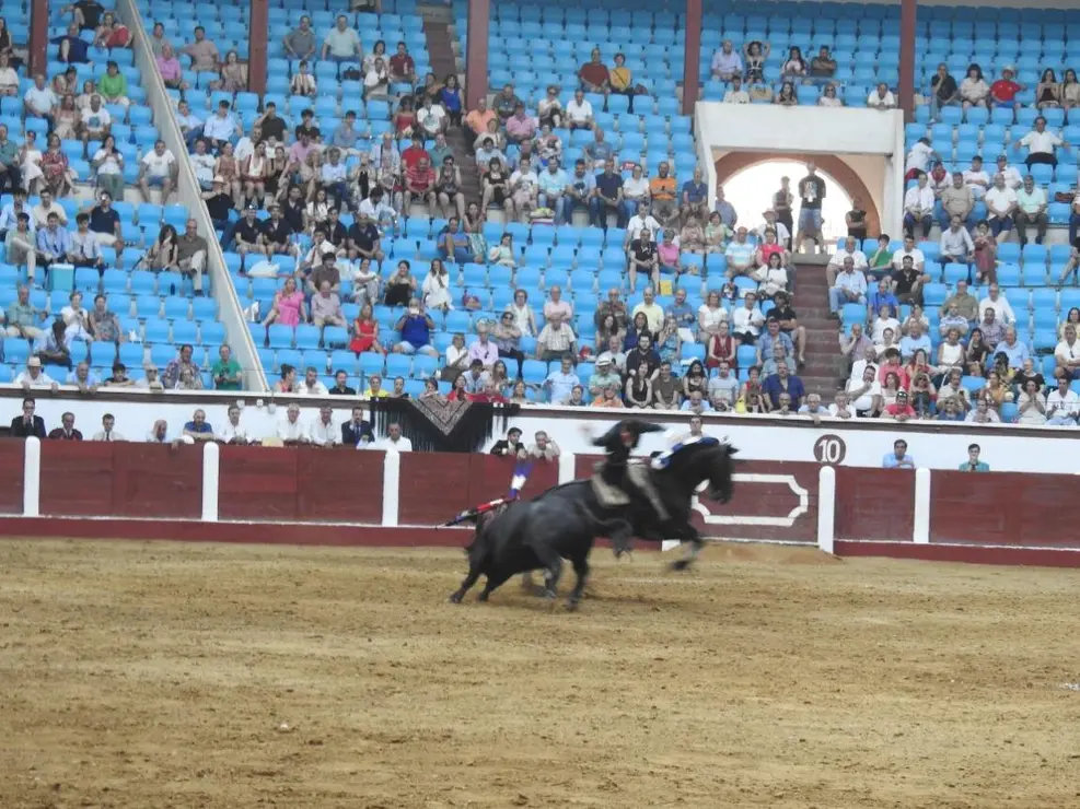 Toros (123)