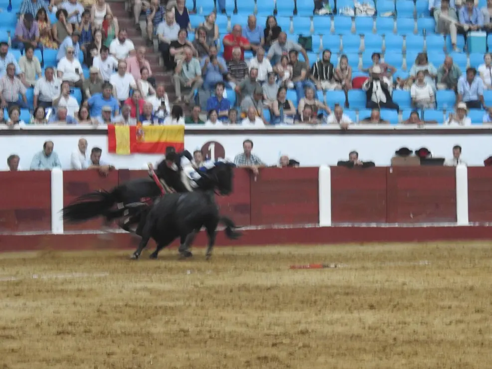 Toros (125)