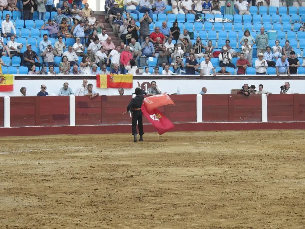 Toros (128)