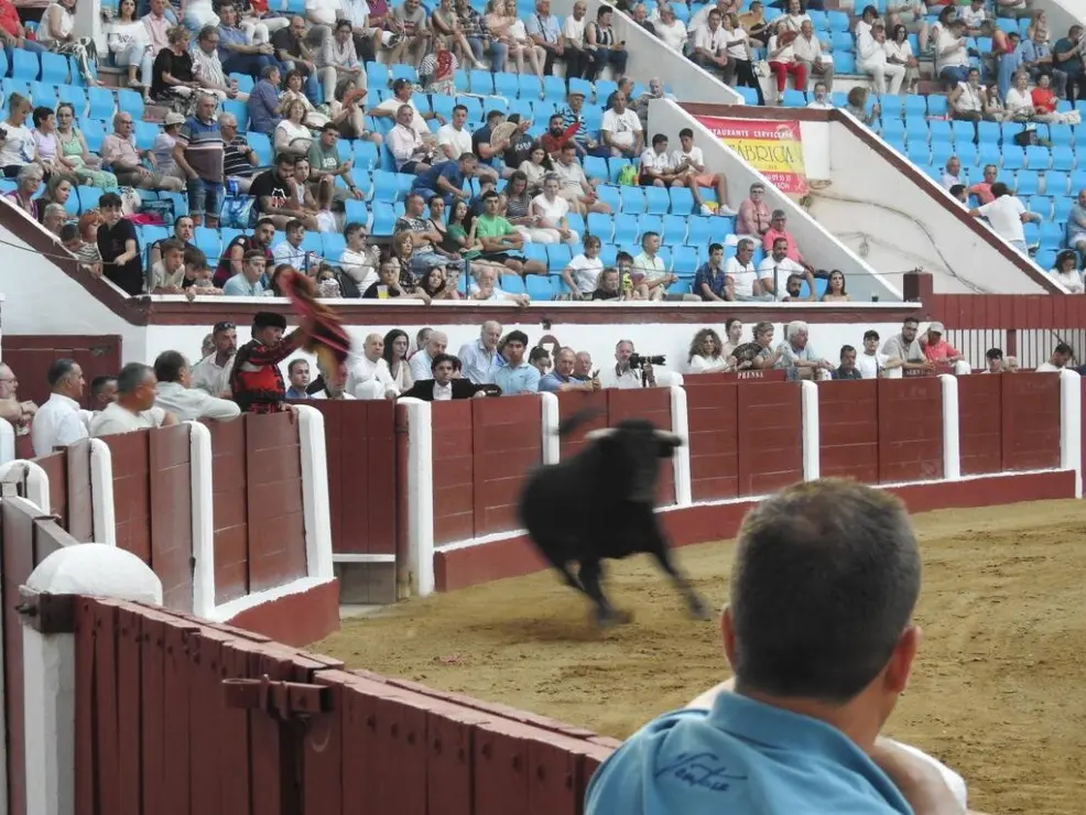Toros (130)