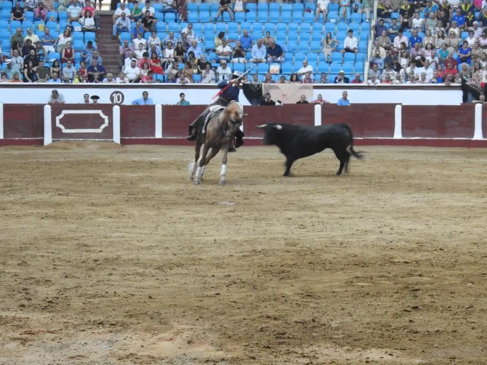 Toros (132)