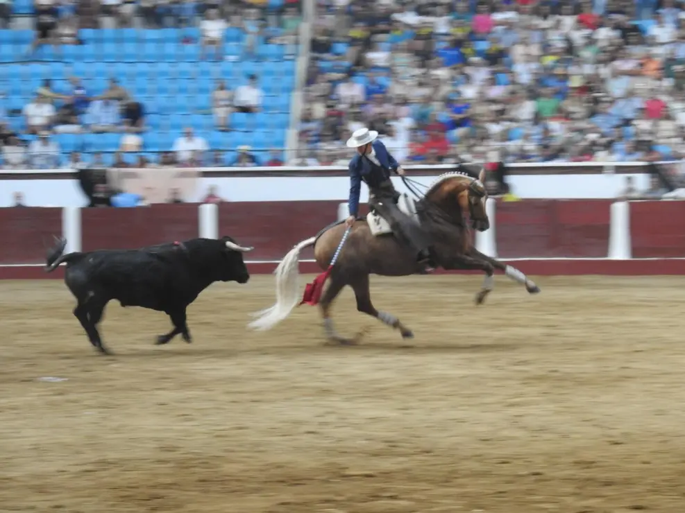 Toros (134)