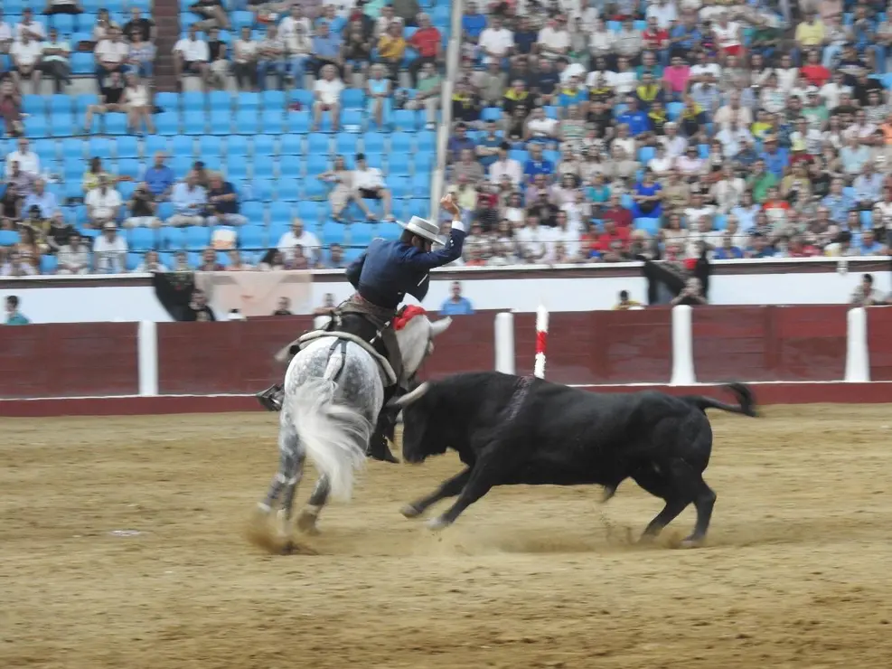 Toros (136)