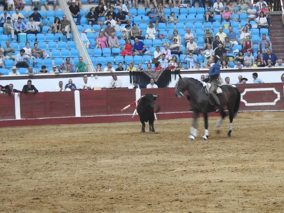 Toros (138)