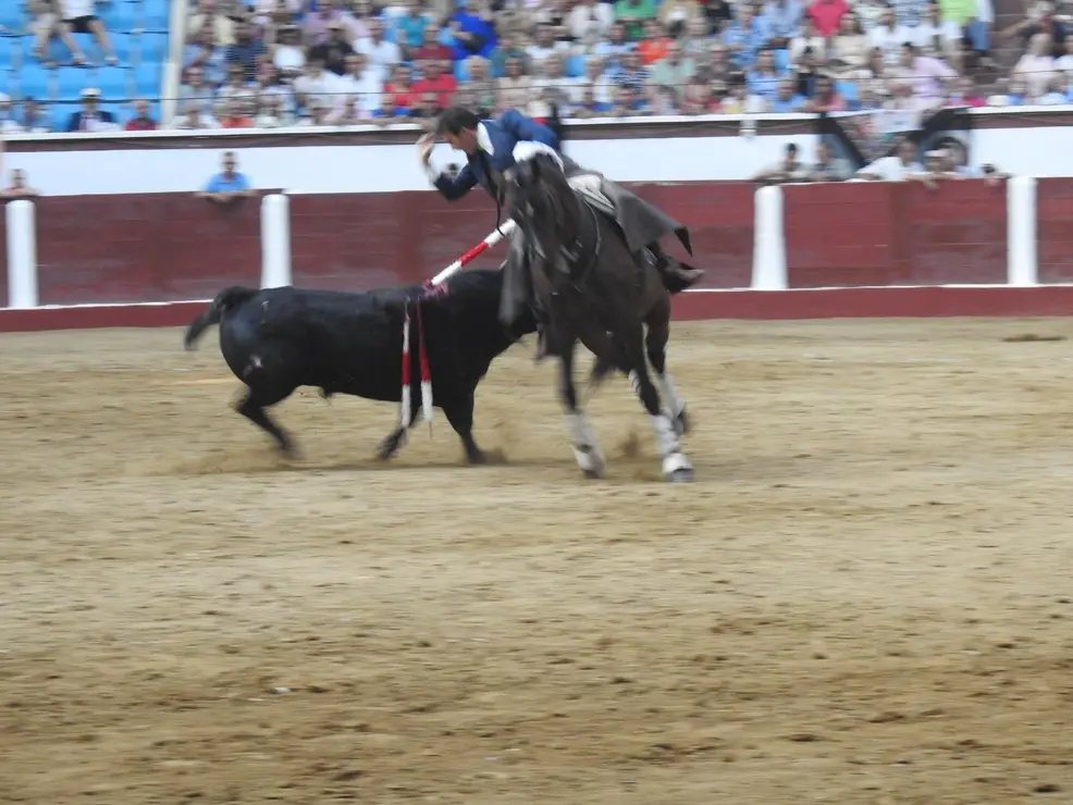 Toros (139)