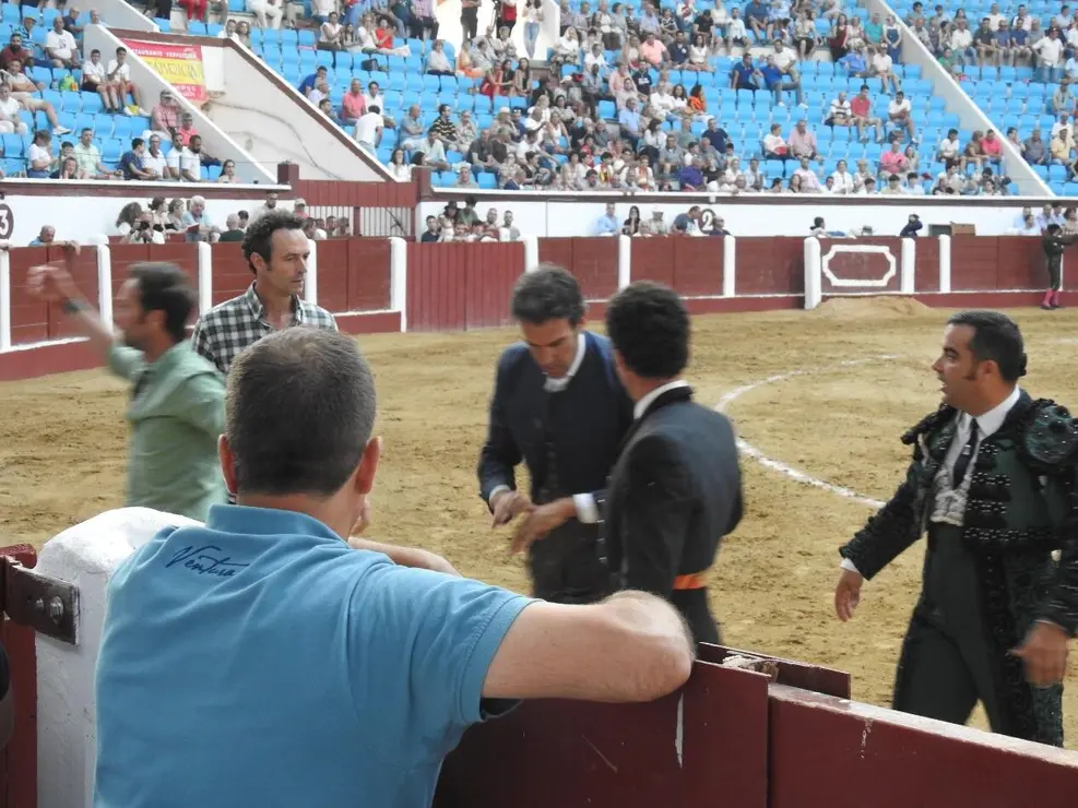 Toros (140)