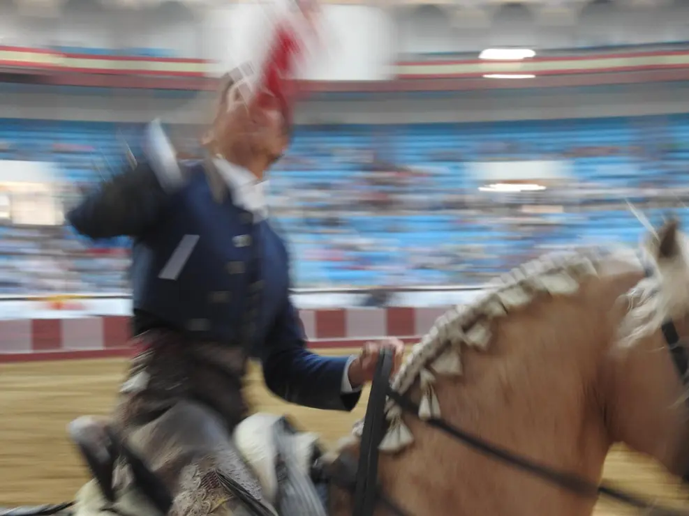 Toros (141)