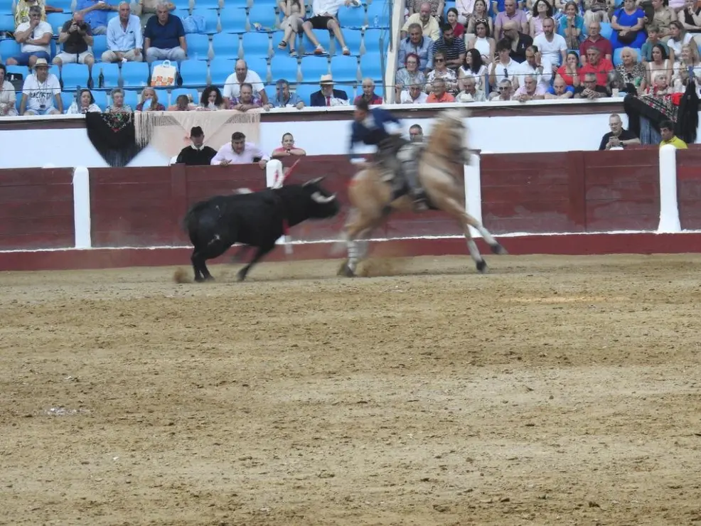 Toros (142)