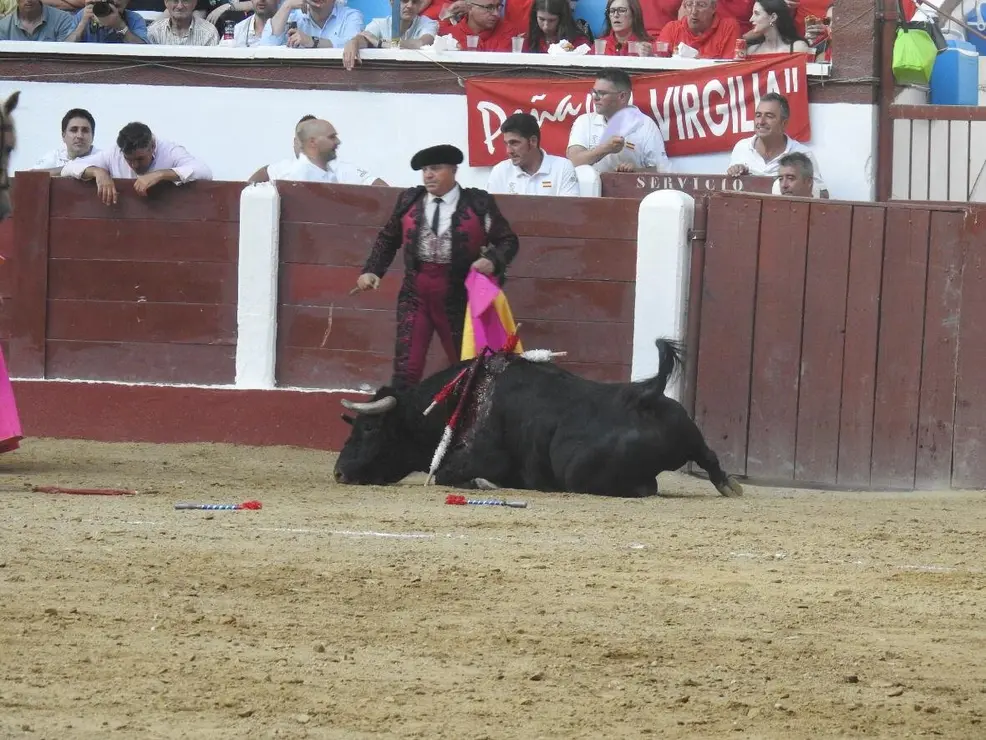 Toros (144)