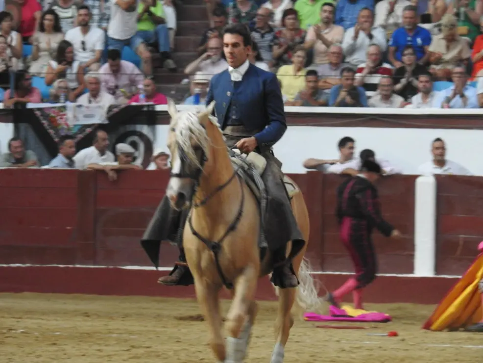 Toros (145)