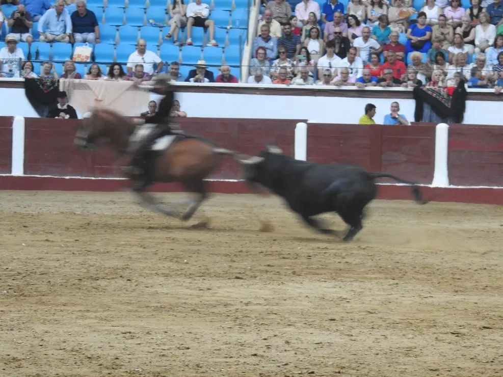 Toros (149)