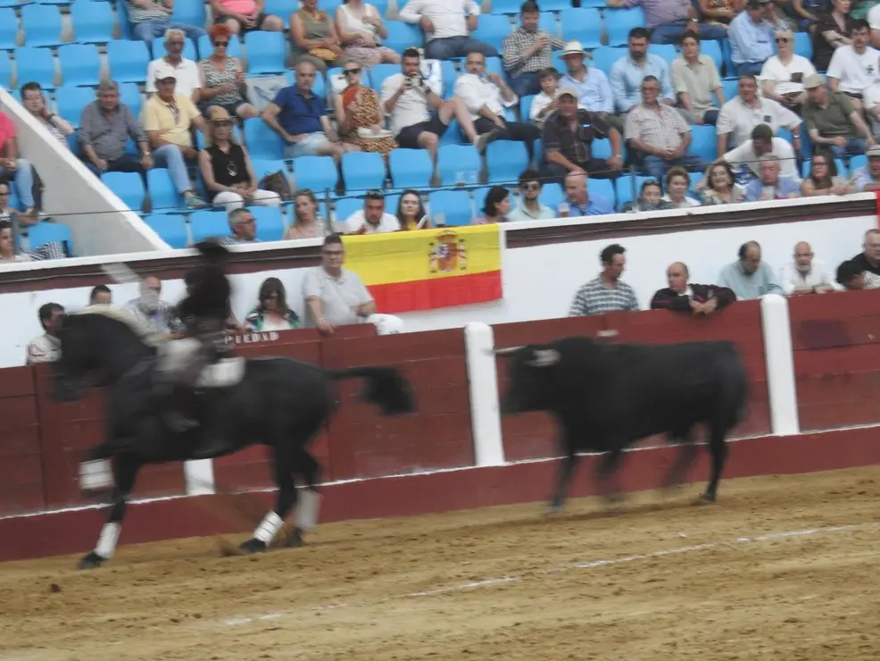 Toros (152)