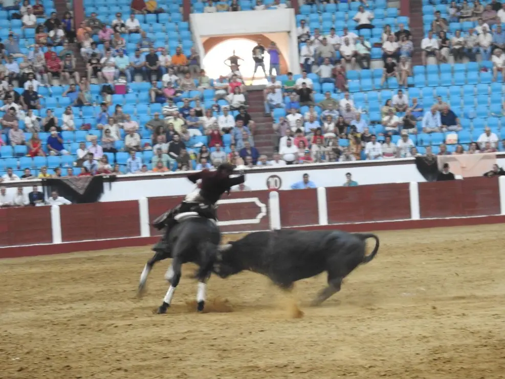 Toros (153)