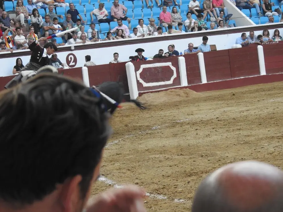 Toros (154)