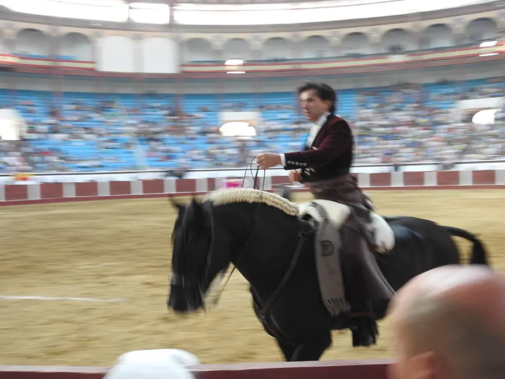 Toros (156)