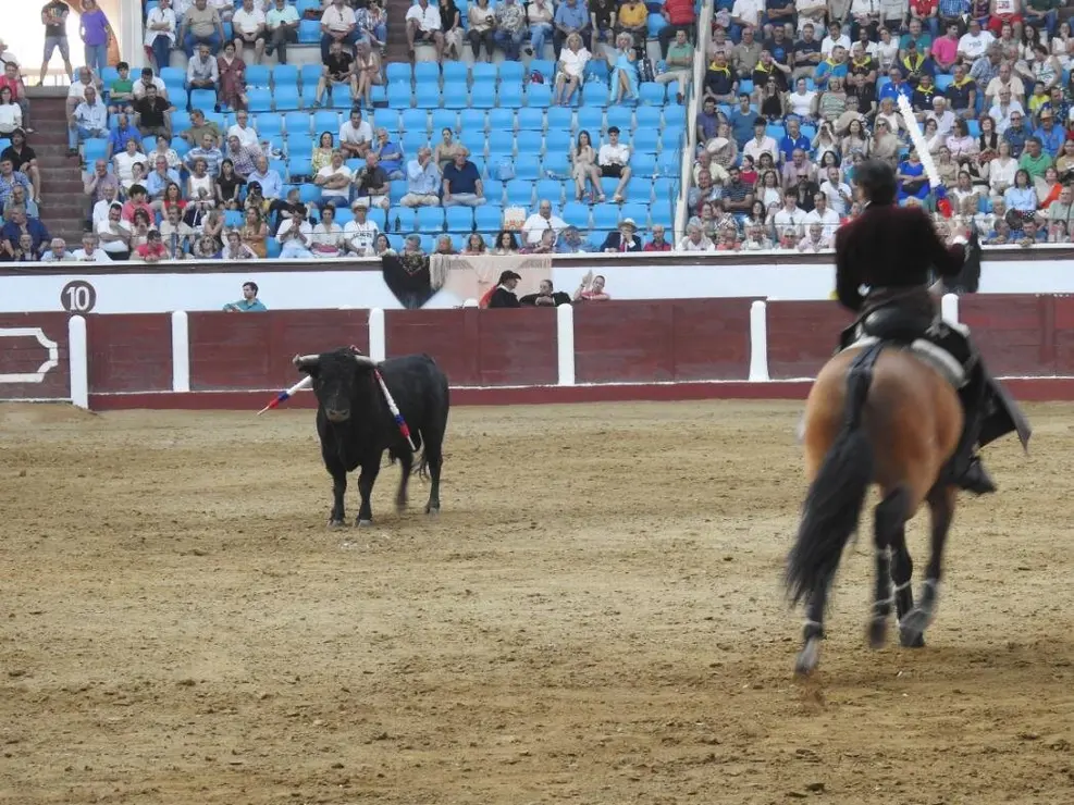 Toros (157)