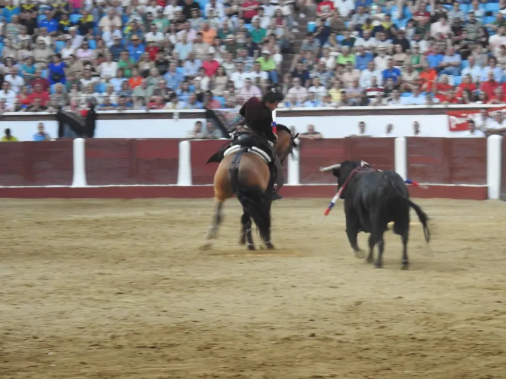 Toros (159)