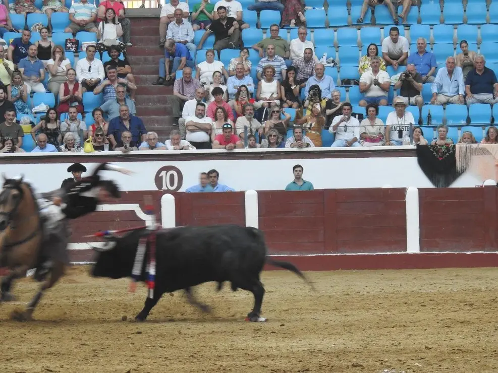 Toros (162)