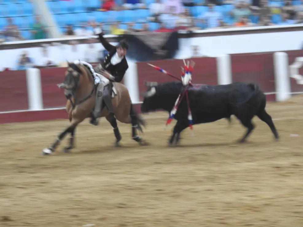 Toros (163)
