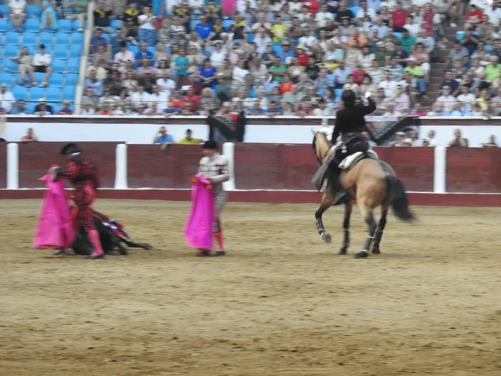 Toros (166)